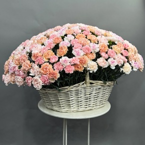 Композиция в корзине из 251 диантуса микс в Красноармейске