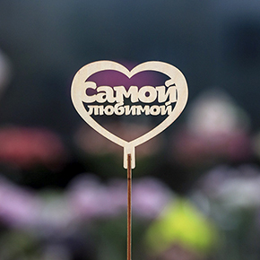 Топпер Самой Любимой в Красноармейске