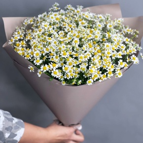Букет из 17 ромашек танацетум в Красноармейске