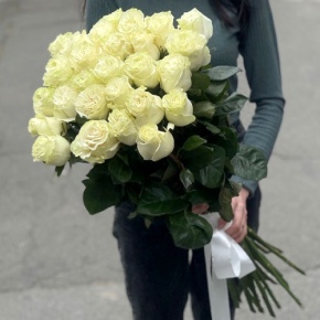 Монобукет из 25 роз Эквадор Мондиаль (80 см) в Красноармейске