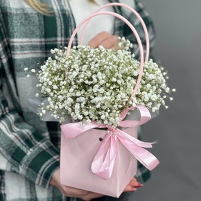 Композиция в сумочке из гипсофил в Красноармейске