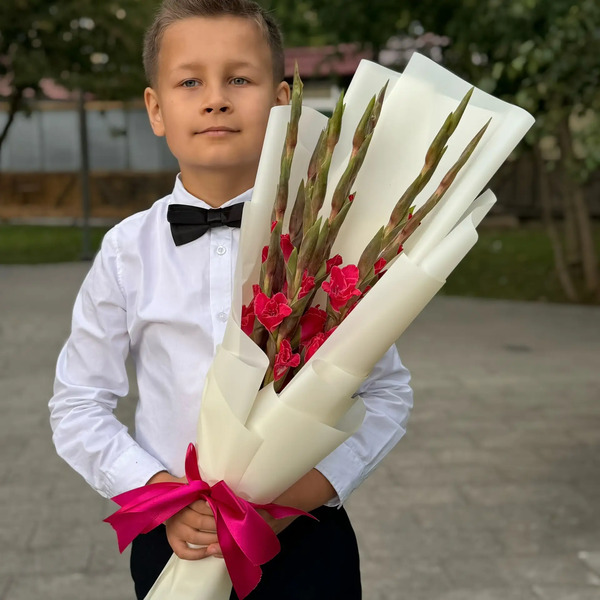 Букет на 1 сентября из 7 малиновых гладиолусов в Красноармейске