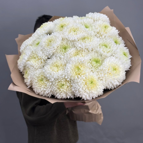Букет из 27 хризантем Магнум в Красноармейске