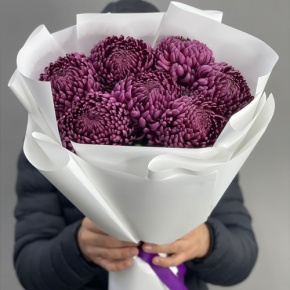 Букет "Винная легенда" из 7 хризантем Бигоуди в Красноармейске