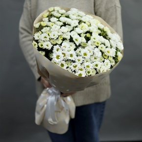 Букет "Милая моя" из 17 хризантем сантини в Красноармейске