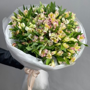 Букет "Зарина" из 37 альстромерий микс в Красноармейске