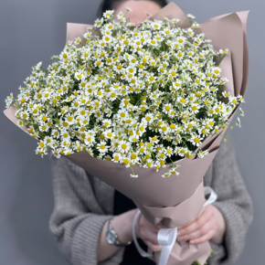 Букет из 17 полевых ромашек в Красноармейске