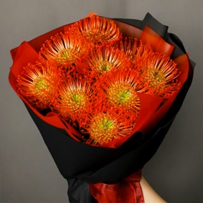 Букет из 9 лейко в Красноармейске