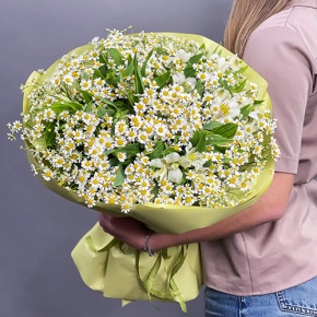 Букет из альстромерий и ромашек в Красноармейске