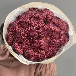 Букет 21 шоколадной хризантемы Бигоуди в Красноармейске