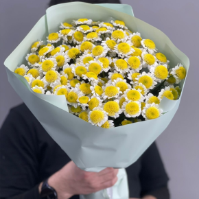 Букет "Моё солнышко" из 17 хризантем сантини  в Красноармейске