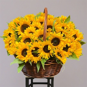 Композиция в корзине из 51 подсолнуха в Красноармейске