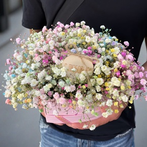 Композиция в коробке сердца из радужных гипсофил с топпером в Красноармейске