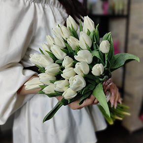 Букет белоснежных тюльпанов (25 шт) в Красноармейске