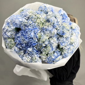 Букет из 23 синих гортензий в Красноармейске
