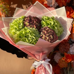 Букет из Голландских гортензий микс в Красноармейске