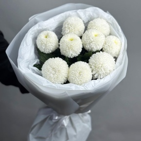 Букет из 9 белых хризантем Момоко в Красноармейске