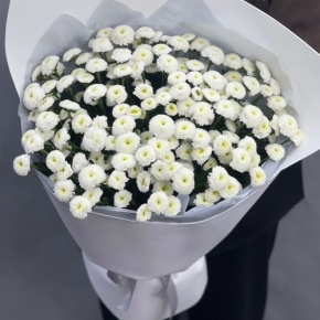 Букет "Белая дымка" из 25 хризантем сантини в Красноармейске