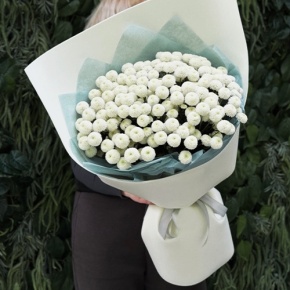 Букет из 25 хризантем Ньютон в Красноармейске