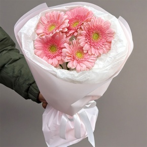 Букет из 5 розовых гербер мини в Красноармейске