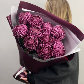 Букет "Изобилие" из 11 винных хризантем Бигоуди в Красноармейске