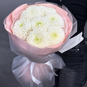 Нежный букет из 7 хризантем Магнум в Красноармейске