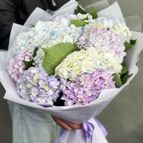 Букет из 9 Голландских гортензий микс в Красноармейске
