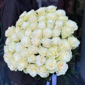 Букет из 51 розы Эквадор Мондиаль под ленту (80 см) в Красноармейске