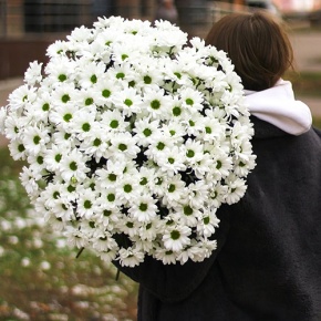 Букет из 29 белых кустовых хризантем в Красноармейске