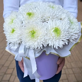 Шляпная коробка из 15 хризантем Магнум в Красноармейске