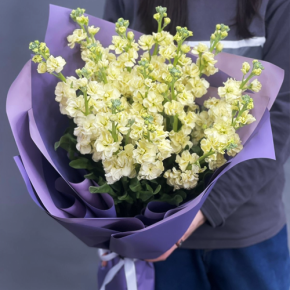 Букет из 15 лимонных маттиол в Красноармейске