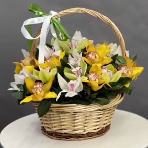 Композиция в корзине из 25 орхидей микс в Красноармейске