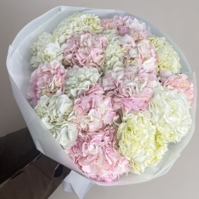Букет из 17 нежных гортензий в Красноармейске