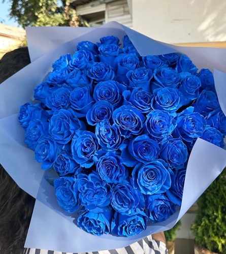 Букет из 51 синей розы Эквадор (60 см) в Красноармейске