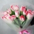 Букет "Фламинго" из 11 пионовидных тюльпанов в Красноармейске Букет "Фламинго" из 11 пионовидных тюльпанов в Красноармейске