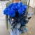 15 синих LUX роз Эквадор (70 см) в Красноармейске 15 синих LUX роз Эквадор (70 см) в Красноармейске