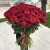 Букет из 101 красной розы (90 см) в Красноармейске Букет из 101 красной розы (90 см) в Красноармейске