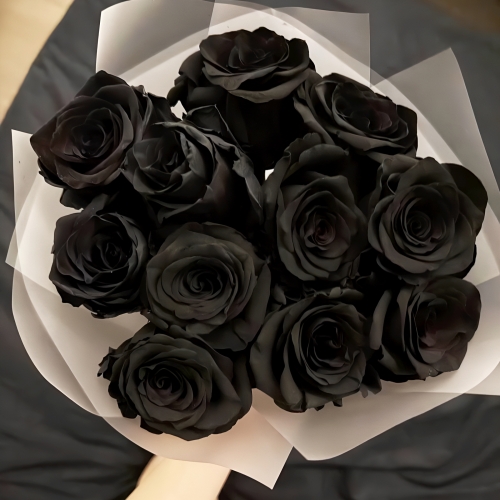 Букет "Черная королева" из 11 черных роз Эквадор (60 см) в Красноармейске