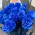 15 синих LUX роз Эквадор (70 см) в Красноармейске 15 синих LUX роз Эквадор (70 см) в Красноармейске