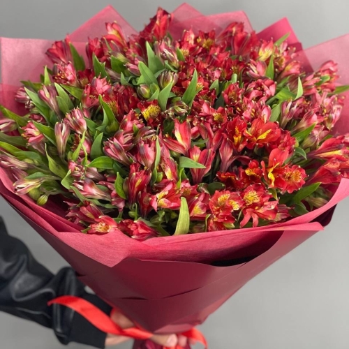 Монобукет из 25 красных альстромерий в Красноармейске