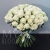 Букет 75 белых роз Эквадор Мондиаль (80 см) в Красноармейске Букет 75 белых роз Эквадор Мондиаль (80 см) в Красноармейске