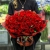 Букет 101 красная Кенийская роза (40 см) в Красноармейске