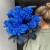 15 синих LUX роз Эквадор (70 см) в Красноармейске 15 синих LUX роз Эквадор (70 см) в Красноармейске