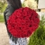Букет 51 красной розы 50 см в Красноармейске Букет 51 красной розы 50 см в Красноармейске