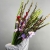 Букет из 25 гладиолусов микс в Красноармейске Букет из 25 гладиолусов микс в Красноармейске
