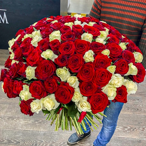 Букет 151 роза красный и белый микс (60 см) в Красноармейске
