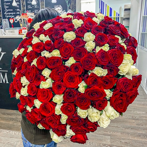 Букет 151 роза красный и белый микс (60 см) в Красноармейске