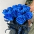 15 синих LUX роз Эквадор (70 см) в Красноармейске 15 синих LUX роз Эквадор (70 см) в Красноармейске