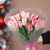 Букет "Фламинго" из 11 пионовидных тюльпанов в Красноармейске Букет "Фламинго" из 11 пионовидных тюльпанов в Красноармейске