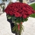 Букет из 101 красной розы (90 см) в Красноармейске Букет из 101 красной розы (90 см) в Красноармейске